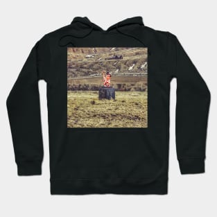 Only In Montana - Graphic 1 Hoodie